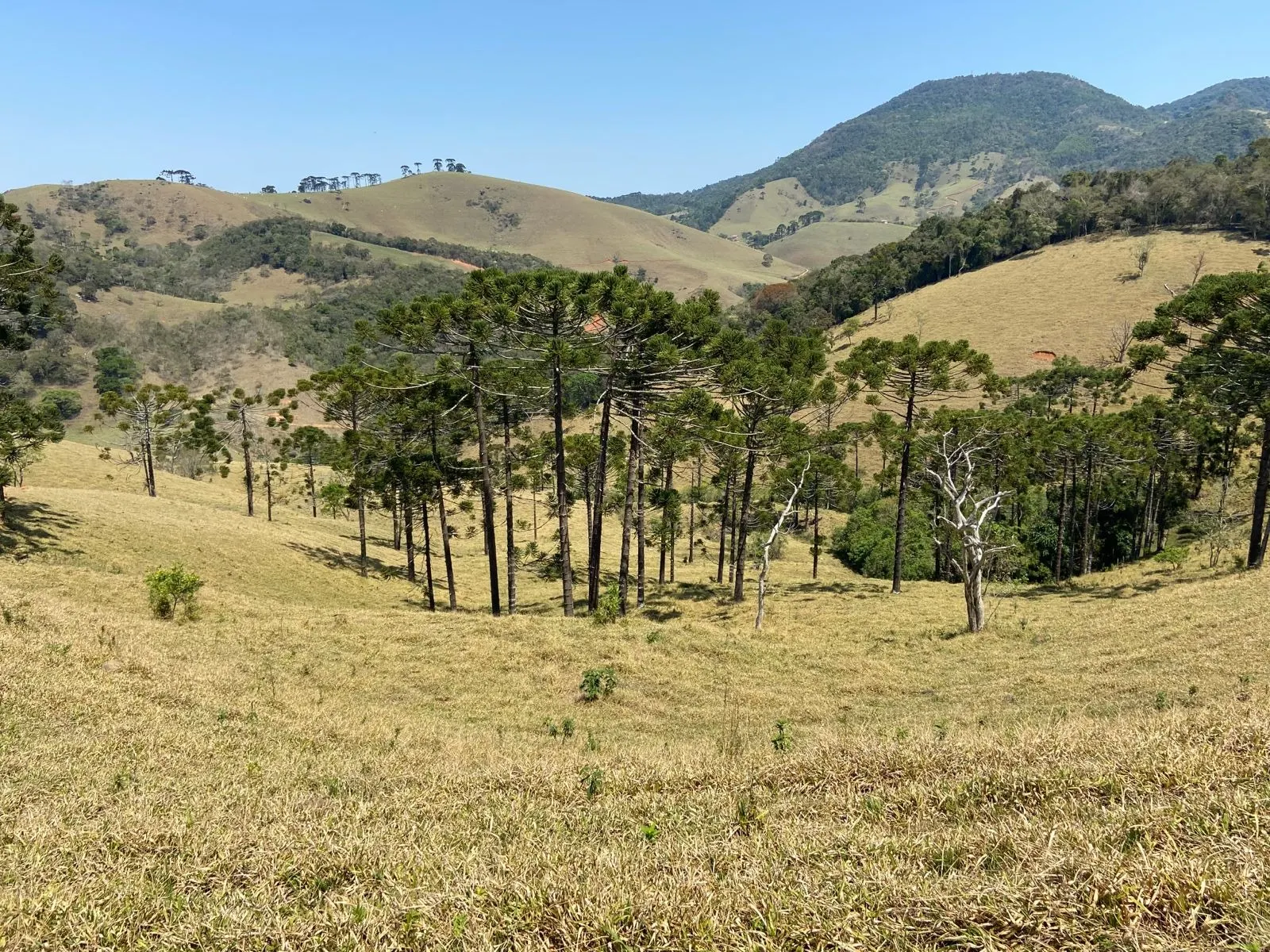Terreno à venda de 17 ha em Sapucaí-Mirim, MG, Brasil