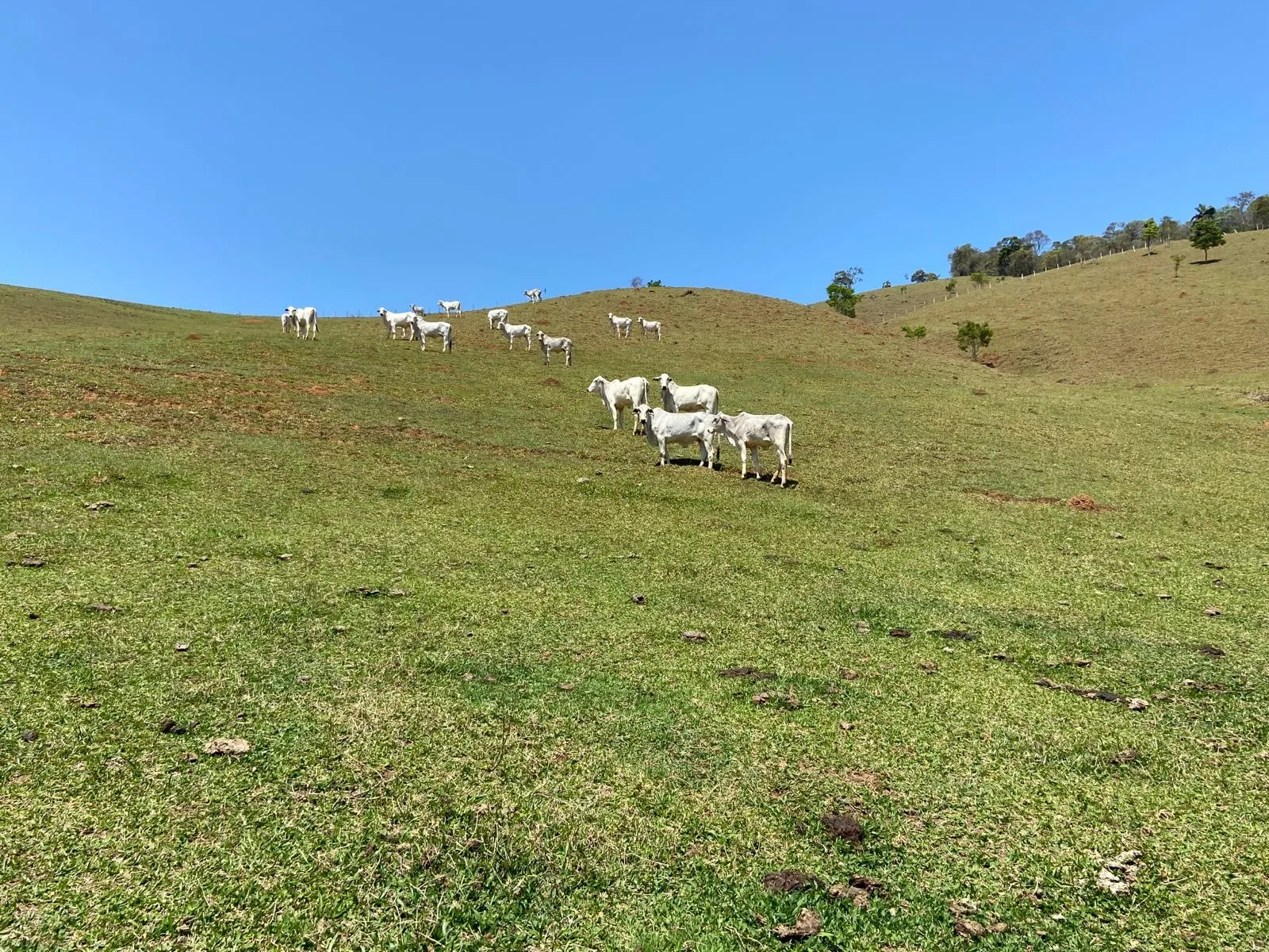 Terreno à venda de 17 ha em Sapucaí-Mirim, MG, Brasil