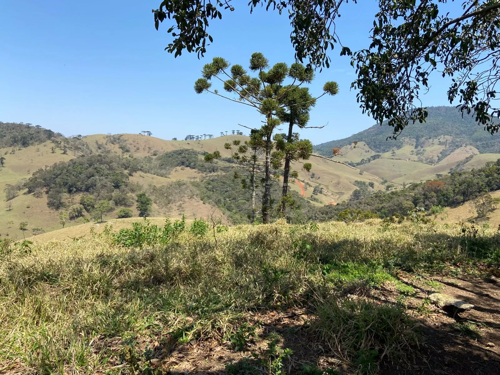Terreno à venda de 17 ha em Sapucaí-Mirim, MG, Brasil