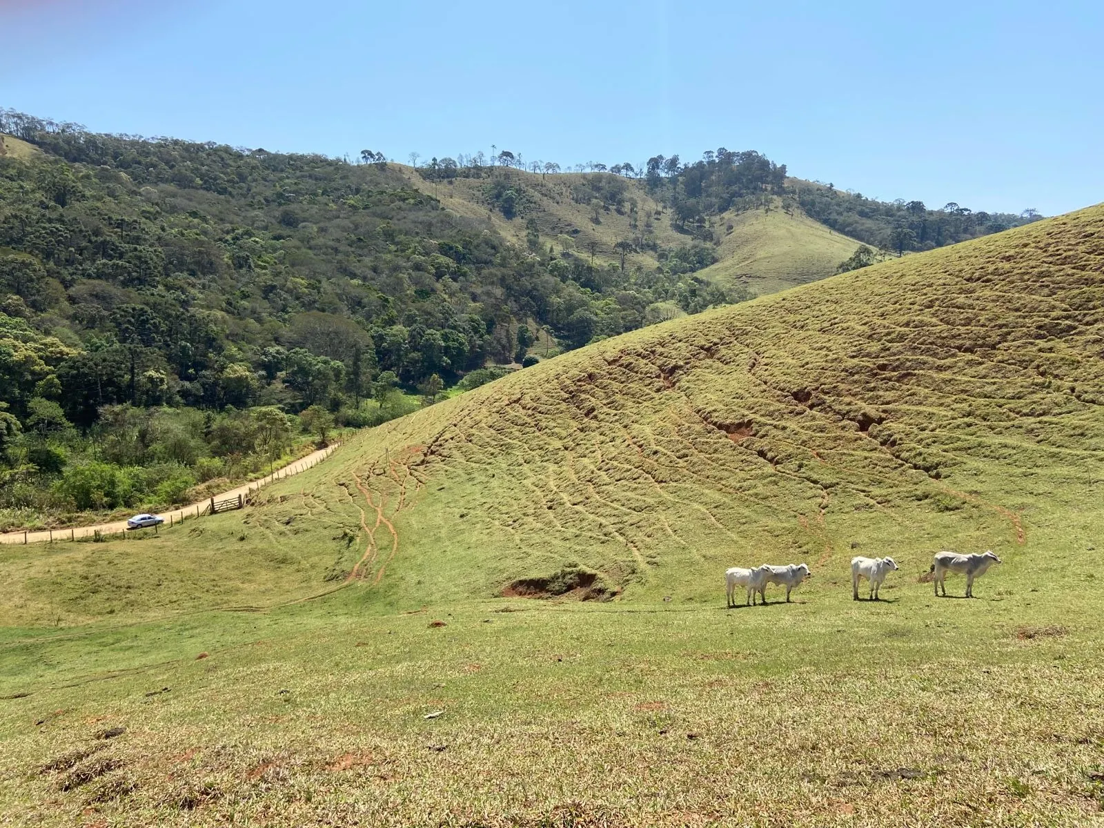 Terreno à venda de 17 ha em Sapucaí-Mirim, MG, Brasil