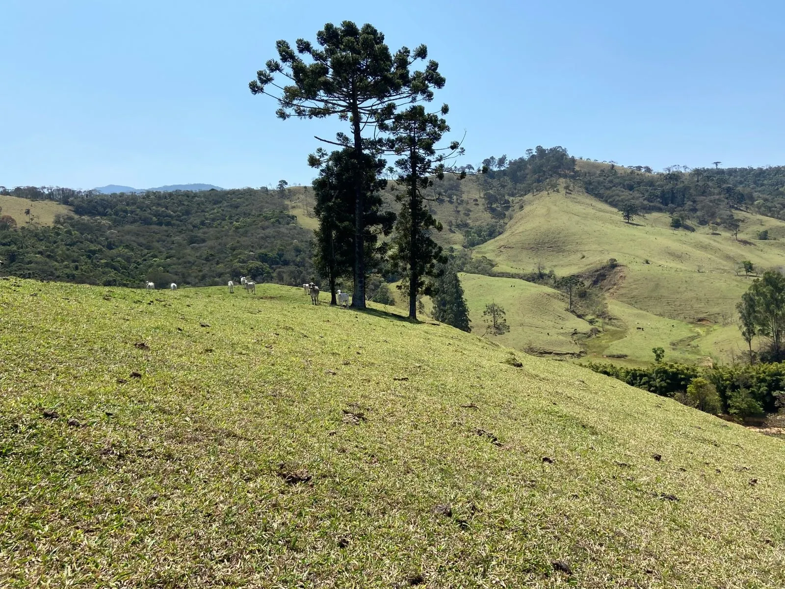 Terreno à venda de 17 ha em Sapucaí-Mirim, MG, Brasil