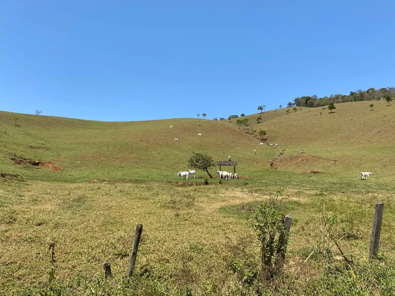 Terreno à venda de 17 ha em Sapucaí-Mirim, MG, Brasil