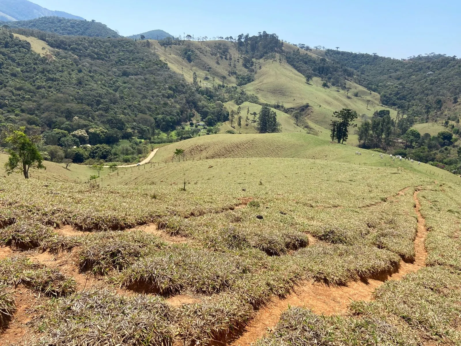 Terreno à venda de 17 ha em Sapucaí-Mirim, MG, Brasil