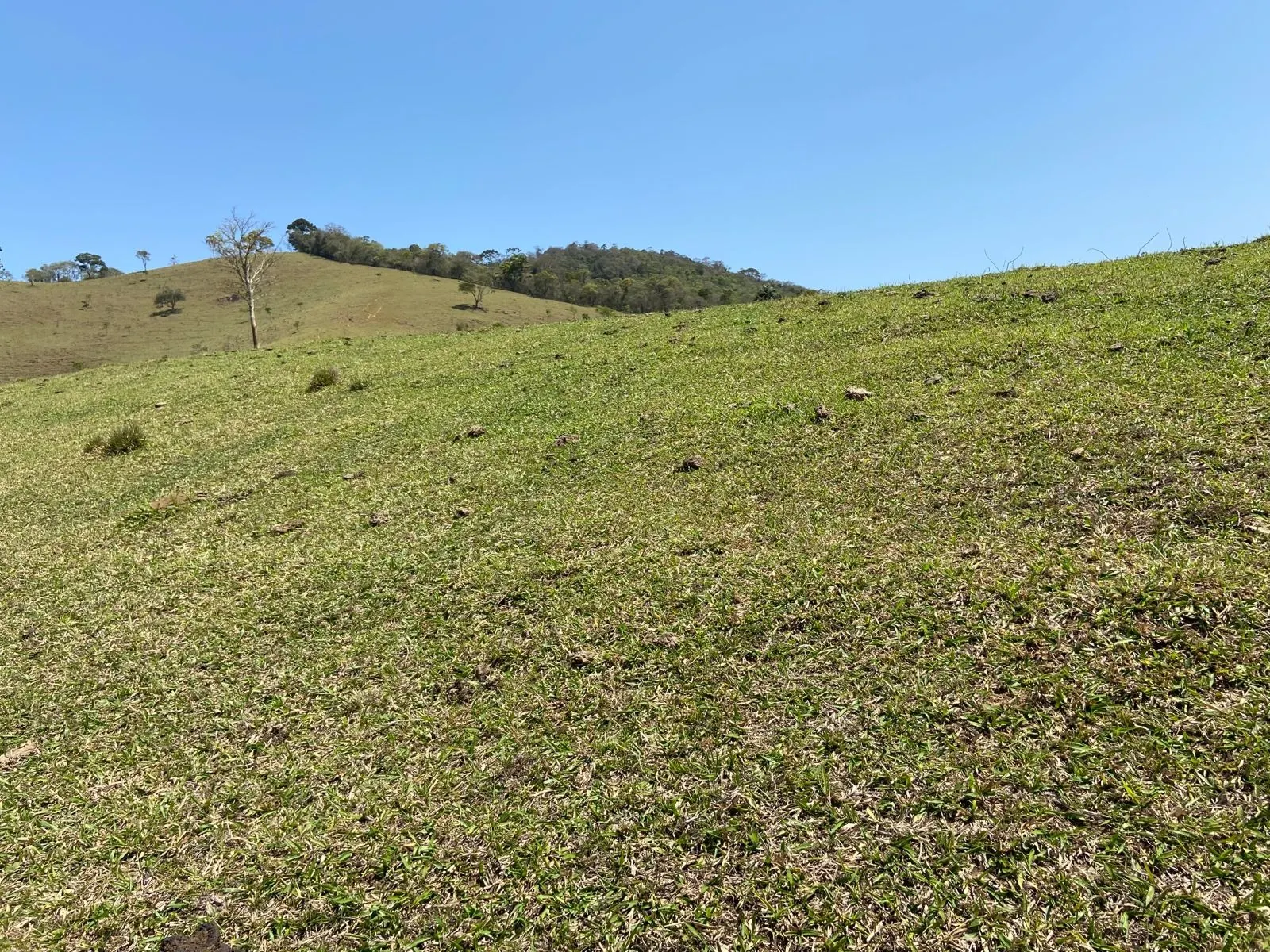 Terreno à venda de 17 ha em Sapucaí-Mirim, MG, Brasil