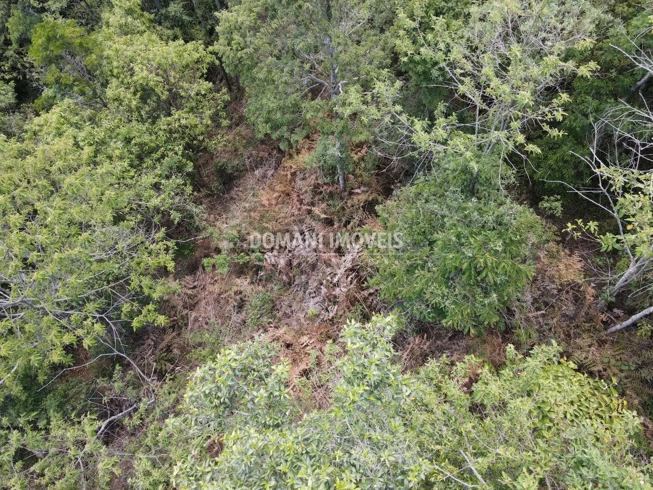 Plot for sale of 2 acres in Campos do Jordão, SP, Brazil