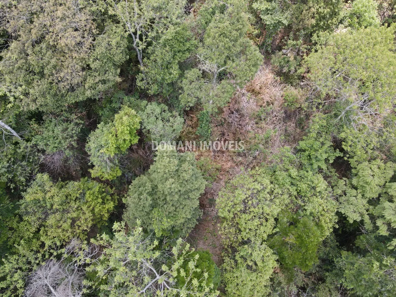 Plot for sale of 2 acres in Campos do Jordão, SP, Brazil