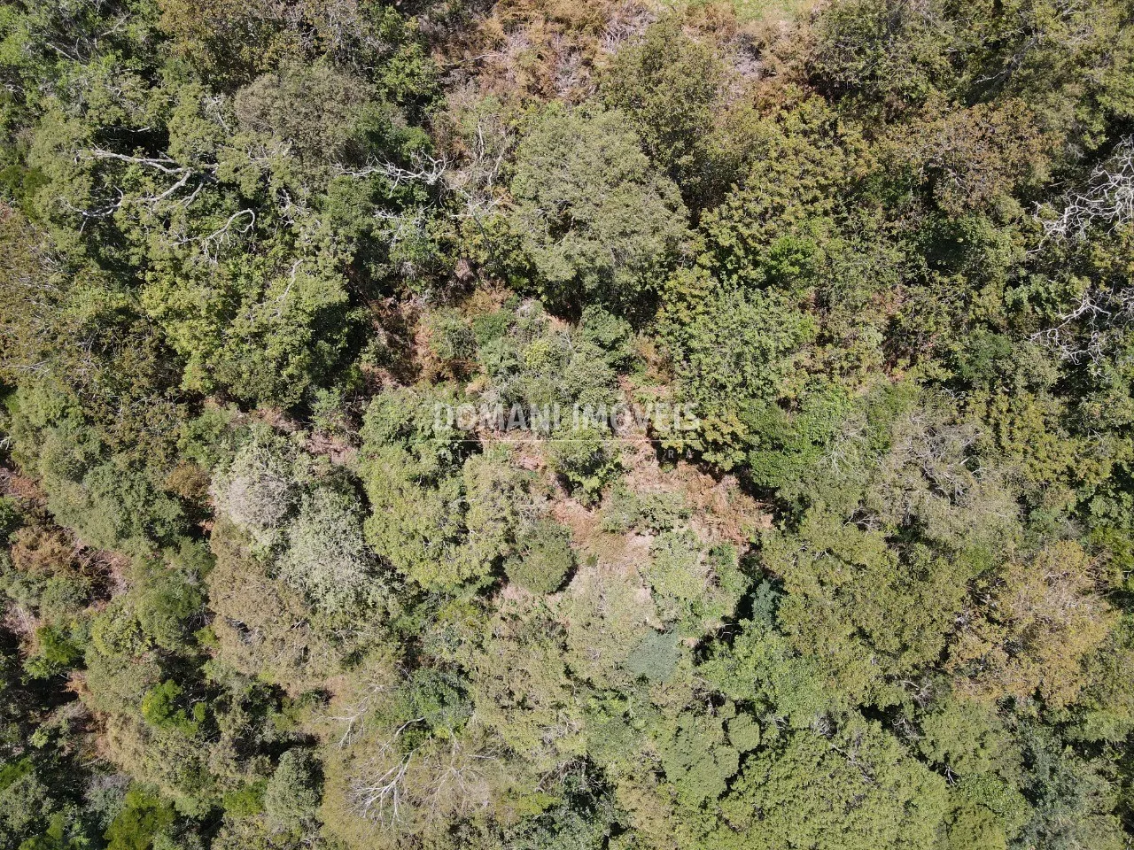 Plot for sale of 2 acres in Campos do Jordão, SP, Brazil