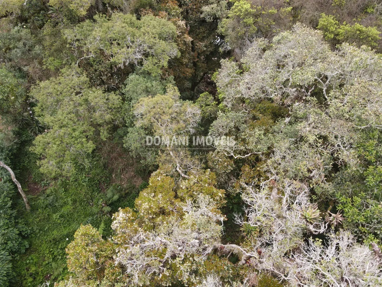 Plot for sale of 2 acres in Campos do Jordão, SP, Brazil