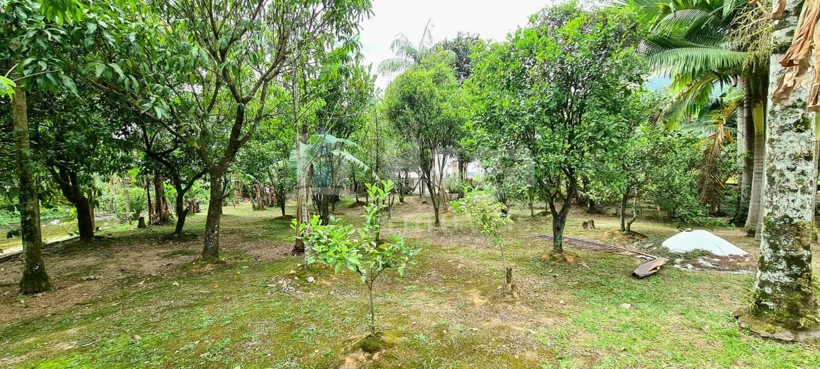 Country home for sale of 2,500 m² in Tijucas, SC, Brazil