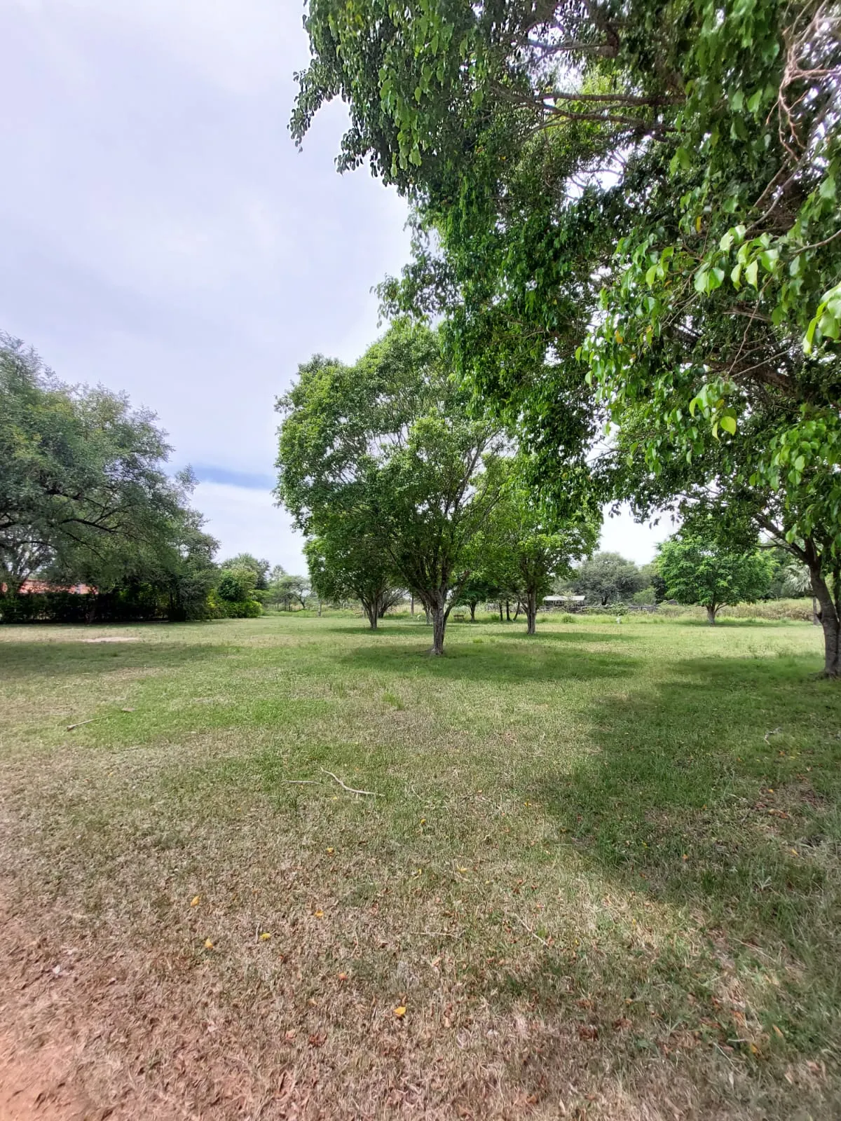 Farm for sale of 103 acres in Villeta, Paraguay