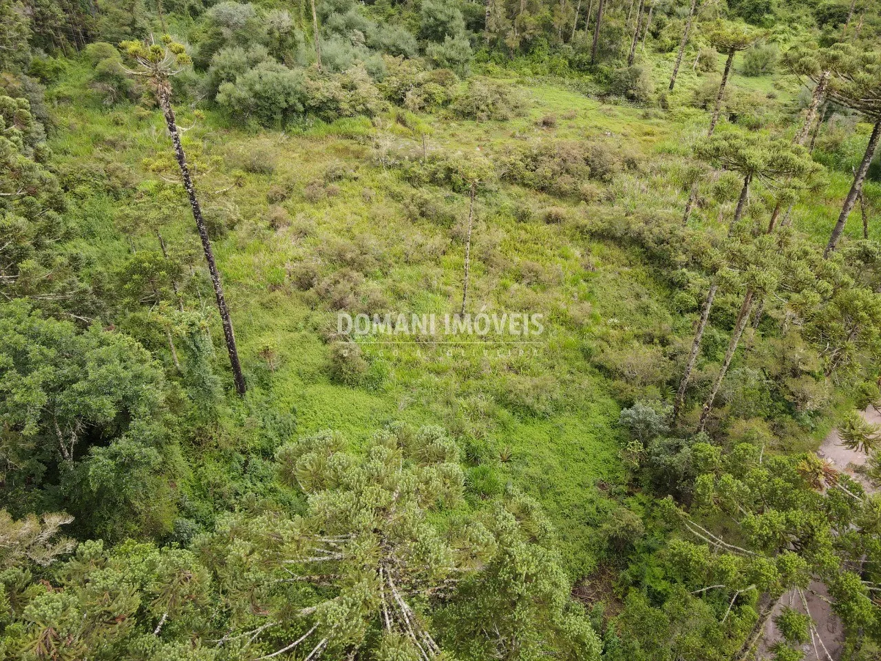 Terreno à venda de 2 ha em Campos do Jordão, SP, Brasil