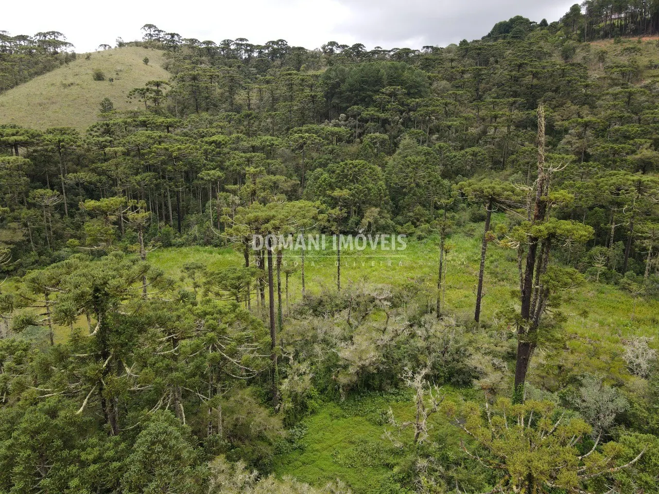 Terreno à venda de 2 ha em Campos do Jordão, SP, Brasil