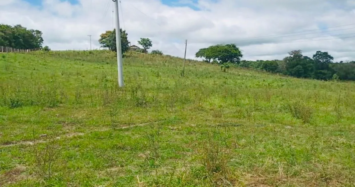 Small farm for sale of 18 acres in Quadra, SP, Brazil