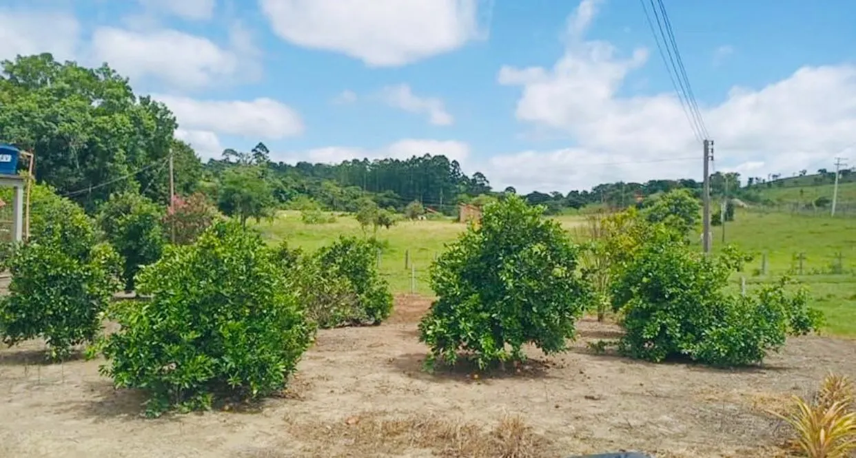 Small farm for sale of 18 acres in Quadra, SP, Brazil