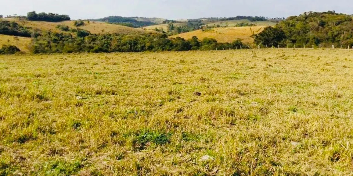 Small farm for sale of 18 acres in Quadra, SP, Brazil