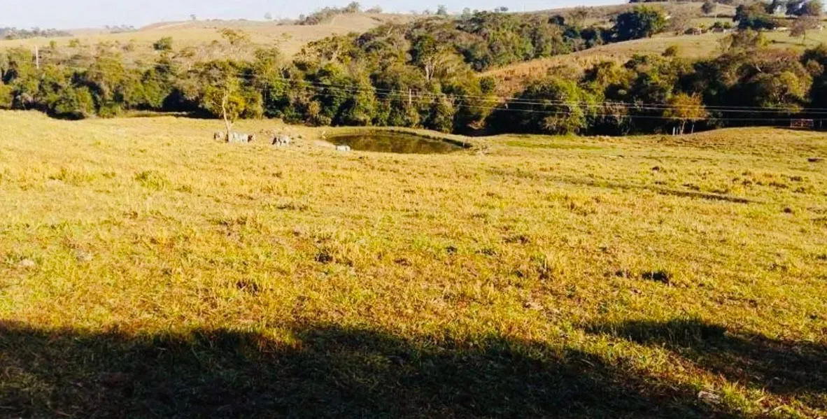 Small farm for sale of 18 acres in Quadra, SP, Brazil