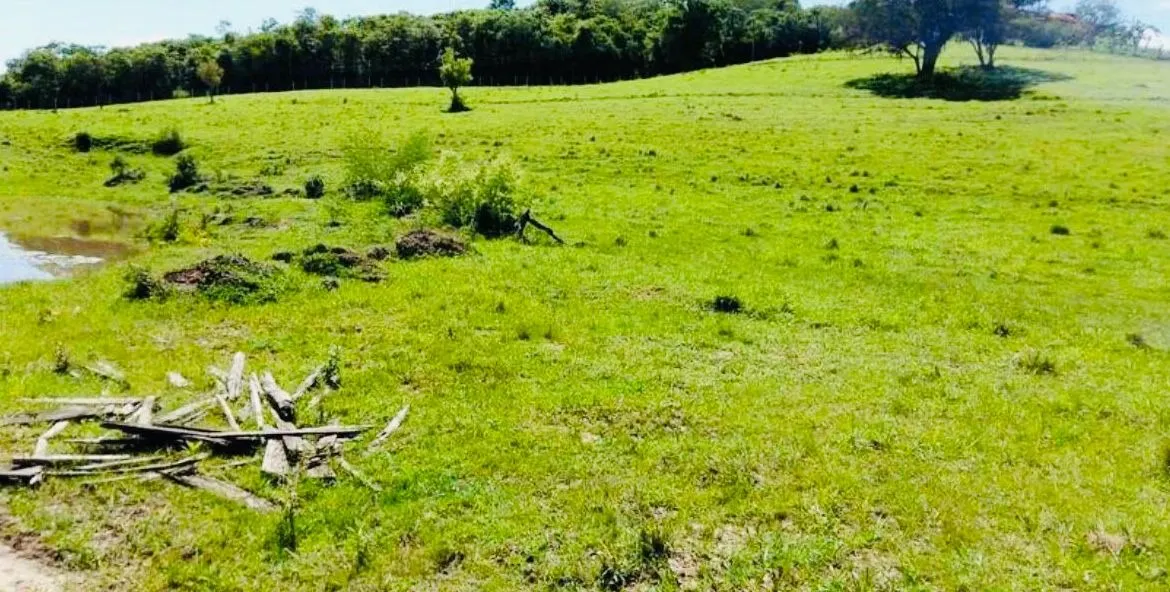Small farm for sale of 18 acres in Quadra, SP, Brazil