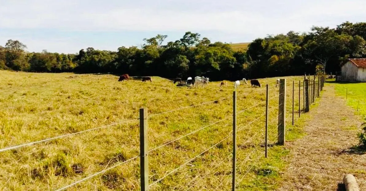 Small farm for sale of 18 acres in Quadra, SP, Brazil