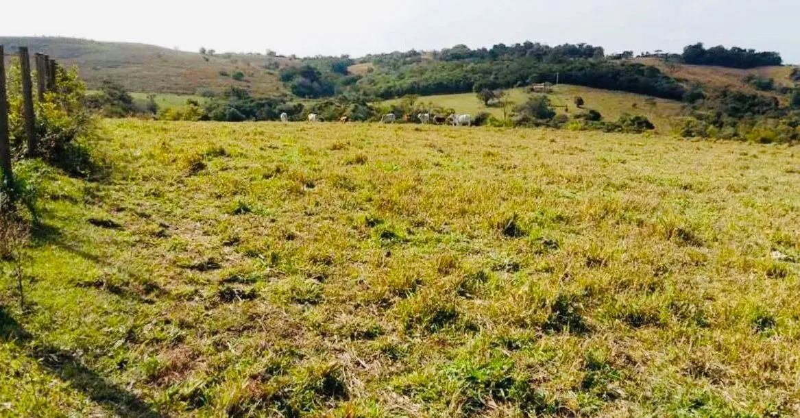 Small farm for sale of 18 acres in Quadra, SP, Brazil