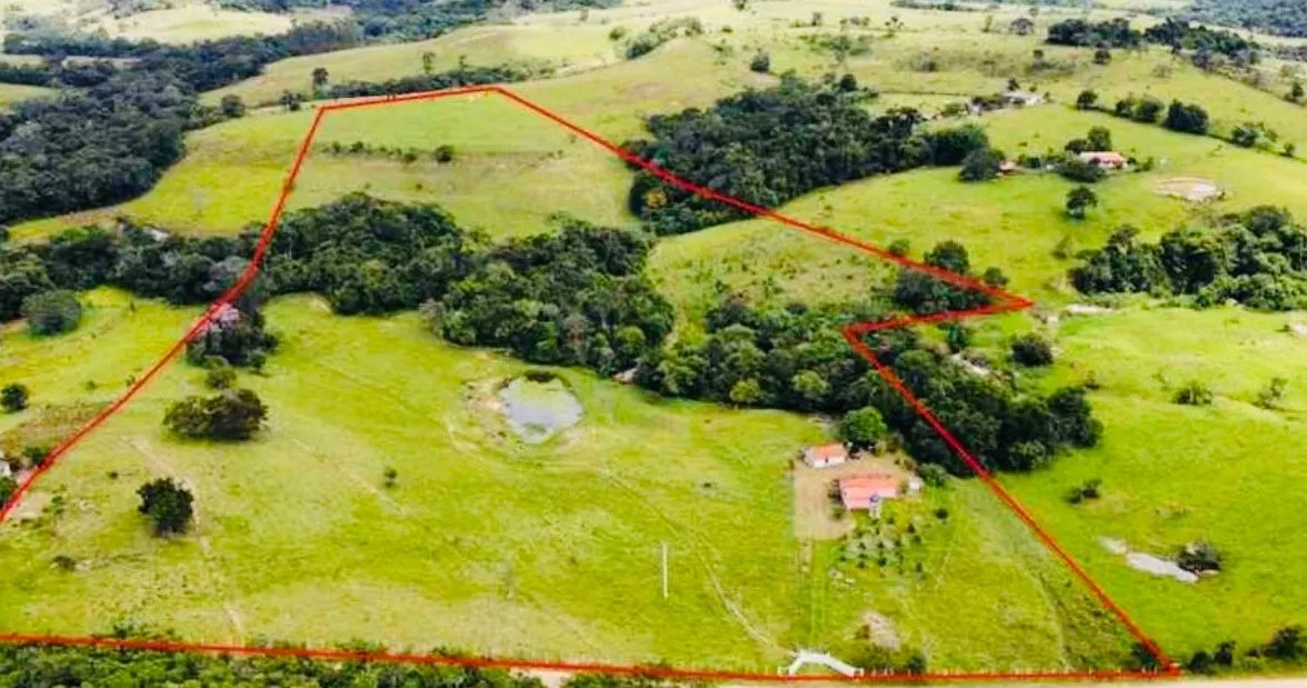 Small farm for sale of 18 acres in Quadra, SP, Brazil
