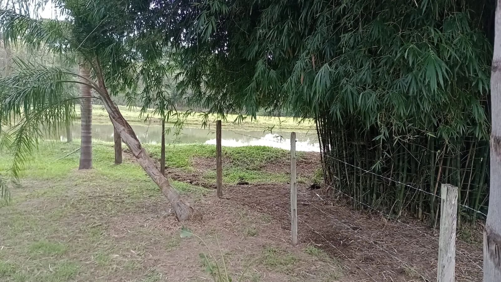 Chácara à venda de 5 ha em Engenheiro Coelho, SP, Brasil