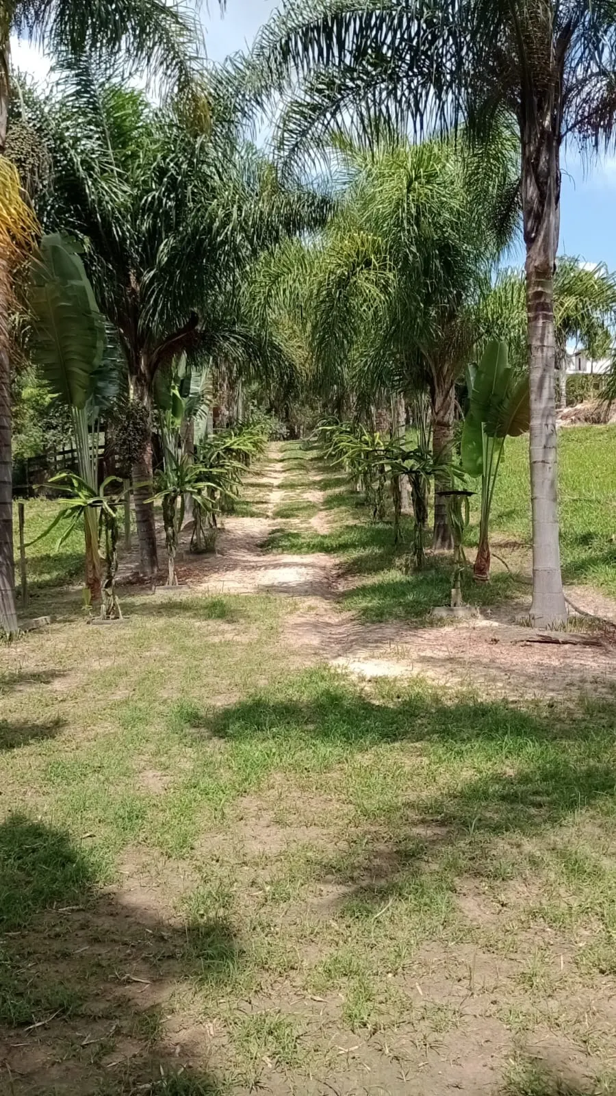 Chácara à venda de 5 ha em Engenheiro Coelho, SP, Brasil