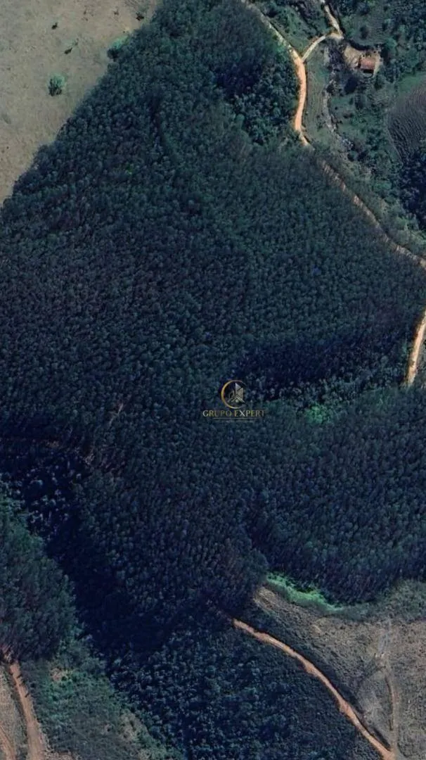 Fazenda à venda de 339 ha em Areias, SP, Brasil