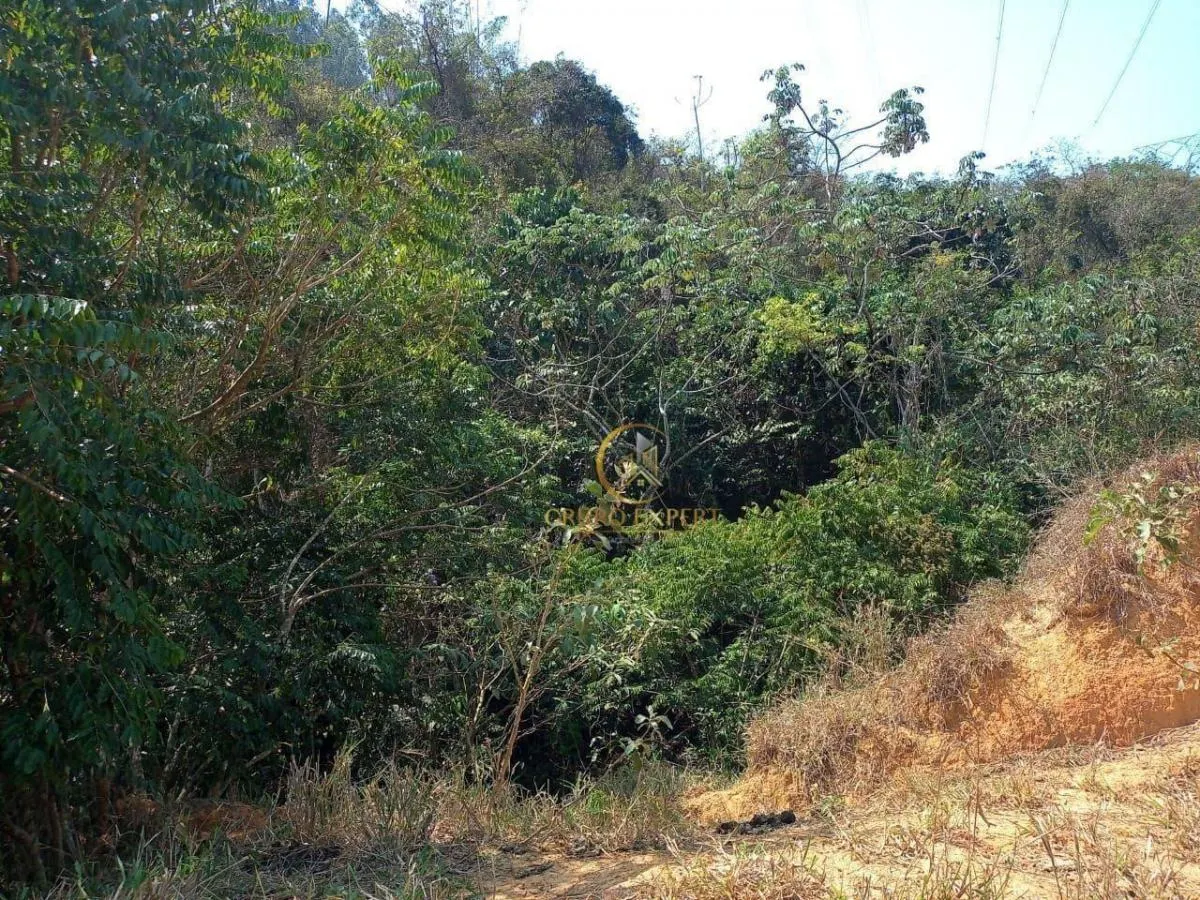 Fazenda à venda de 339 ha em Areias, SP, Brasil