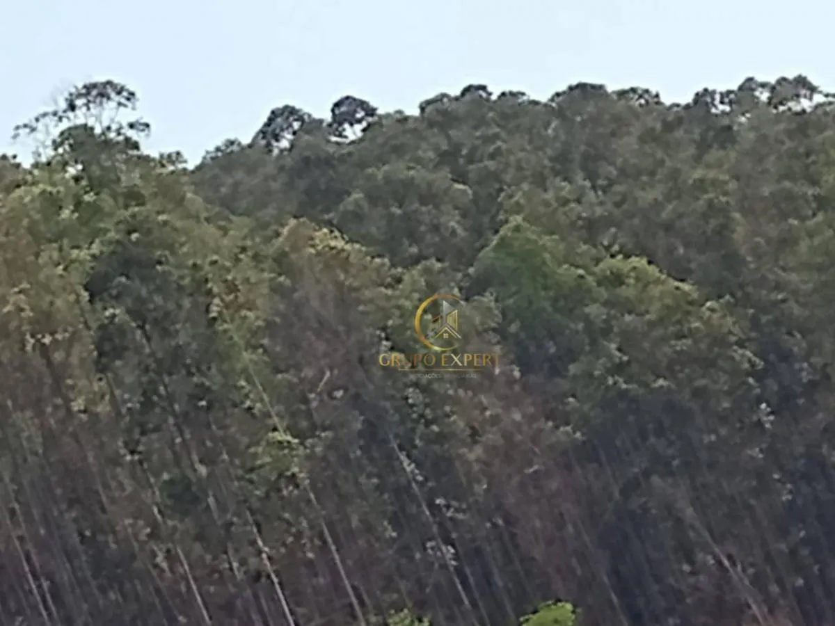 Fazenda à venda de 339 ha em Areias, SP, Brasil