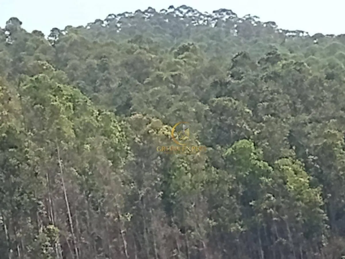 Fazenda à venda de 339 ha em Areias, SP, Brasil