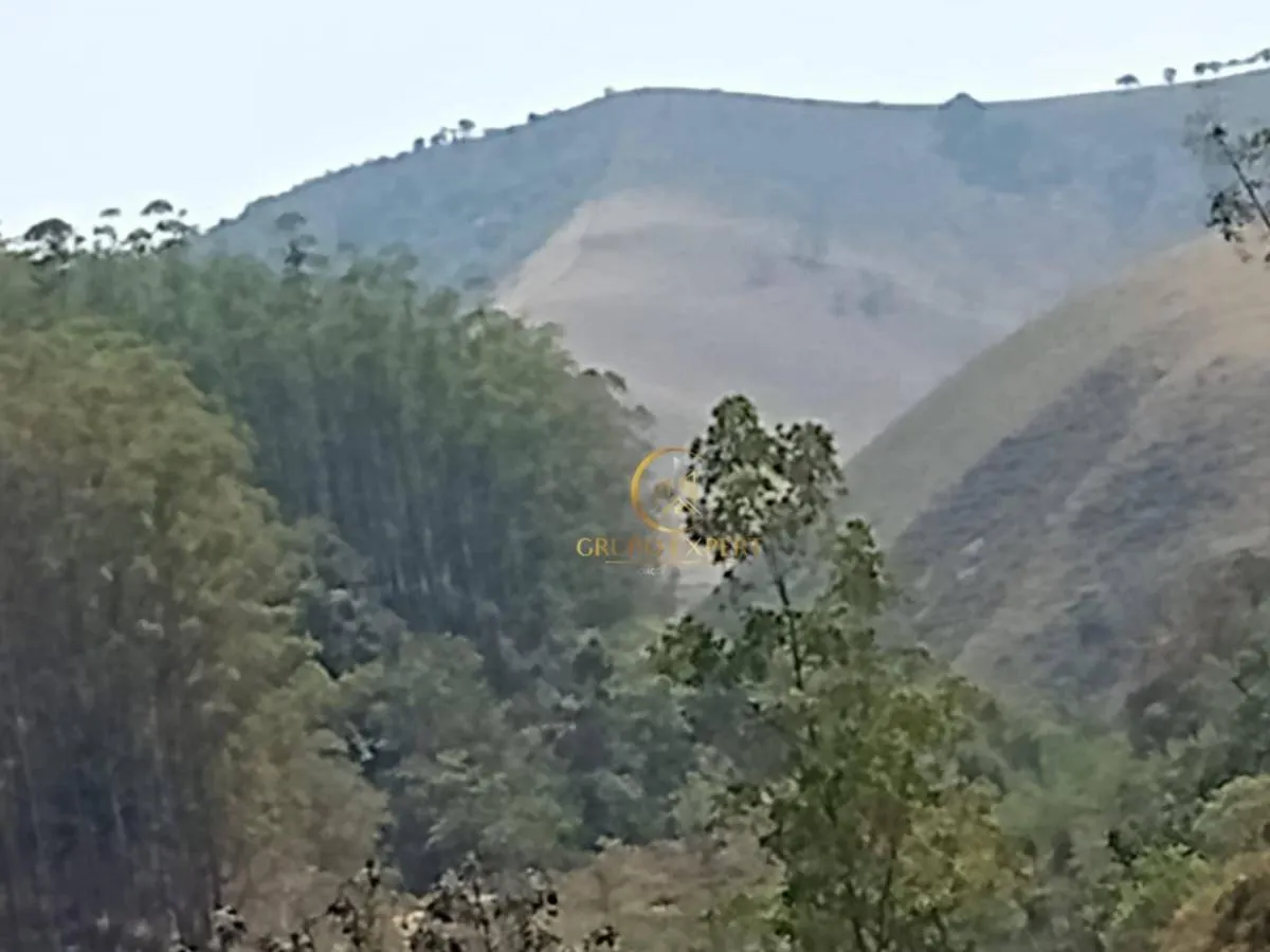 Fazenda à venda de 339 ha em Areias, SP, Brasil