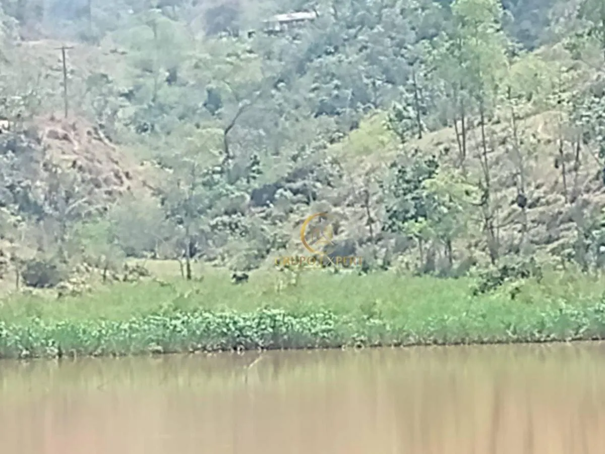 Fazenda à venda de 339 ha em Areias, SP, Brasil
