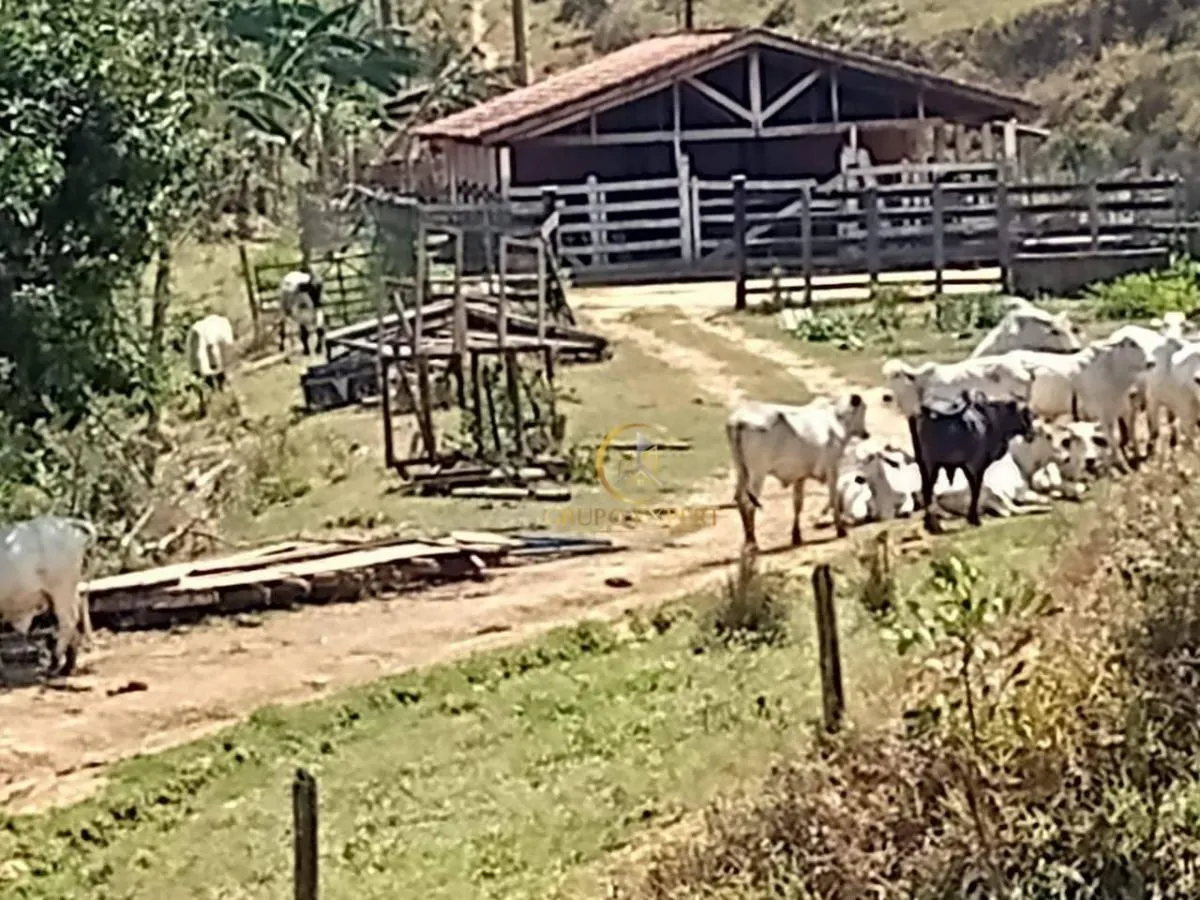 Fazenda à venda de 339 ha em Areias, SP, Brasil