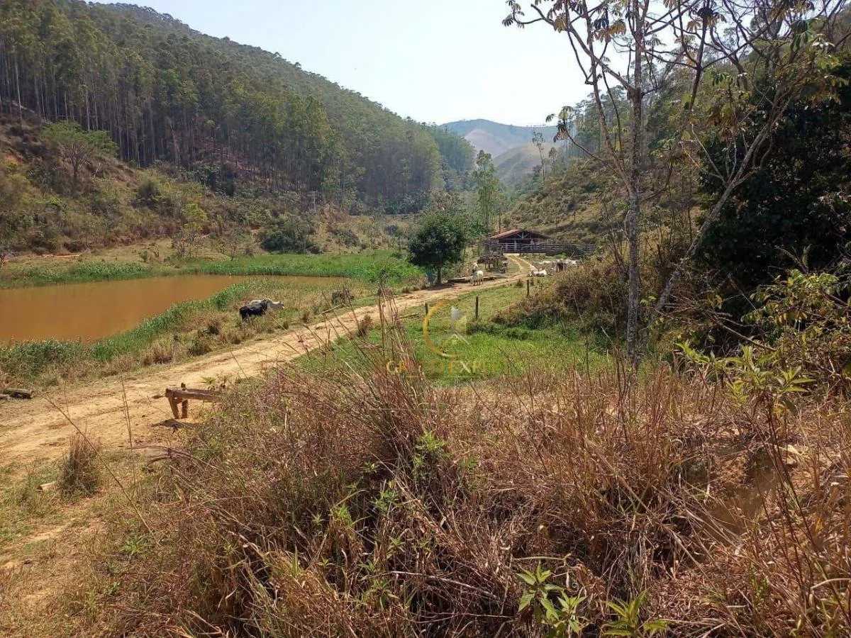 Fazenda à venda de 339 ha em Areias, SP, Brasil