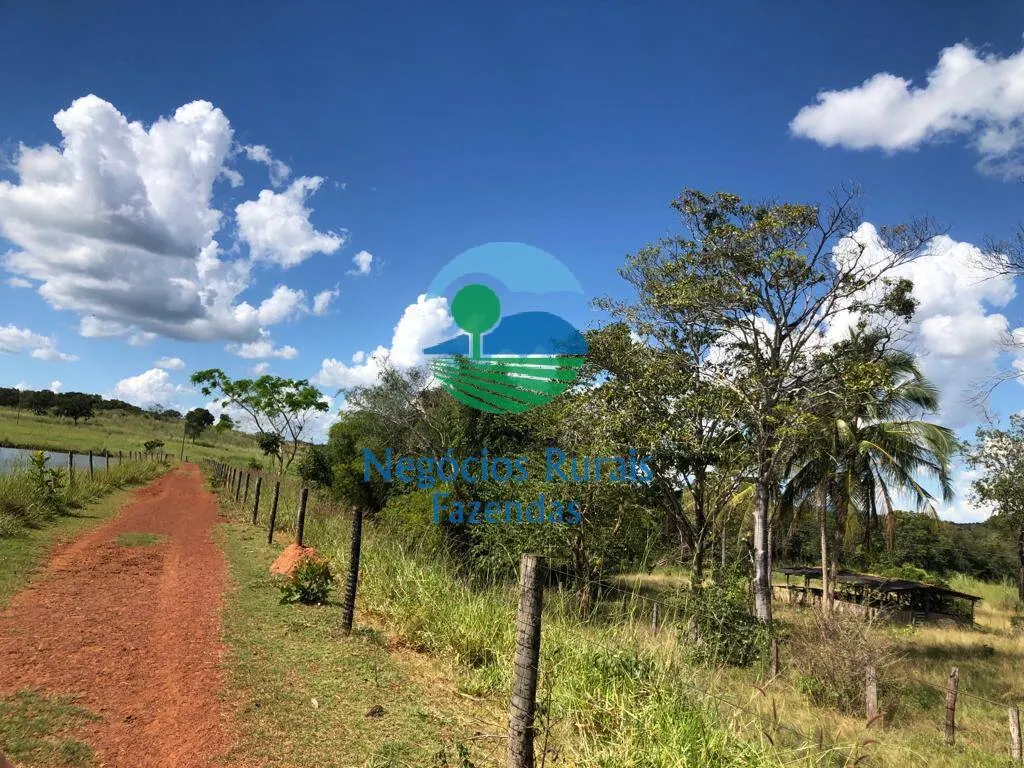 Fazenda à venda de 314 ha em Mara Rosa, GO, Brasil