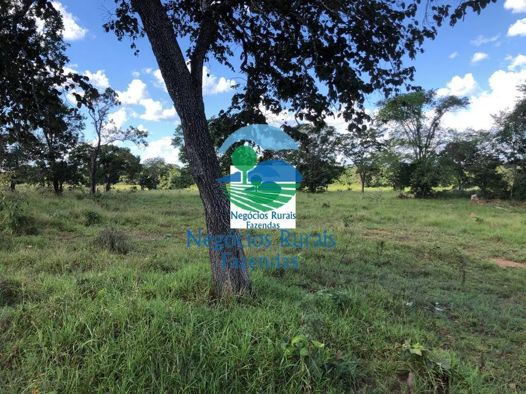 Fazenda à venda de 314 ha em Mara Rosa, GO, Brasil