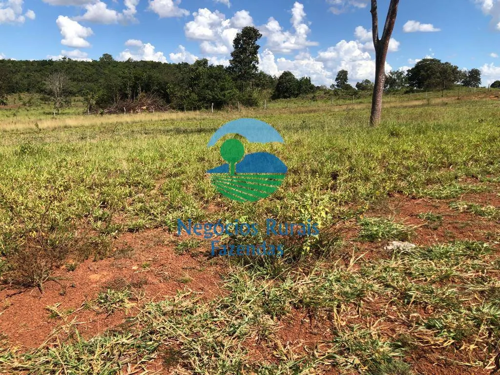 Fazenda à venda de 314 ha em Mara Rosa, GO, Brasil