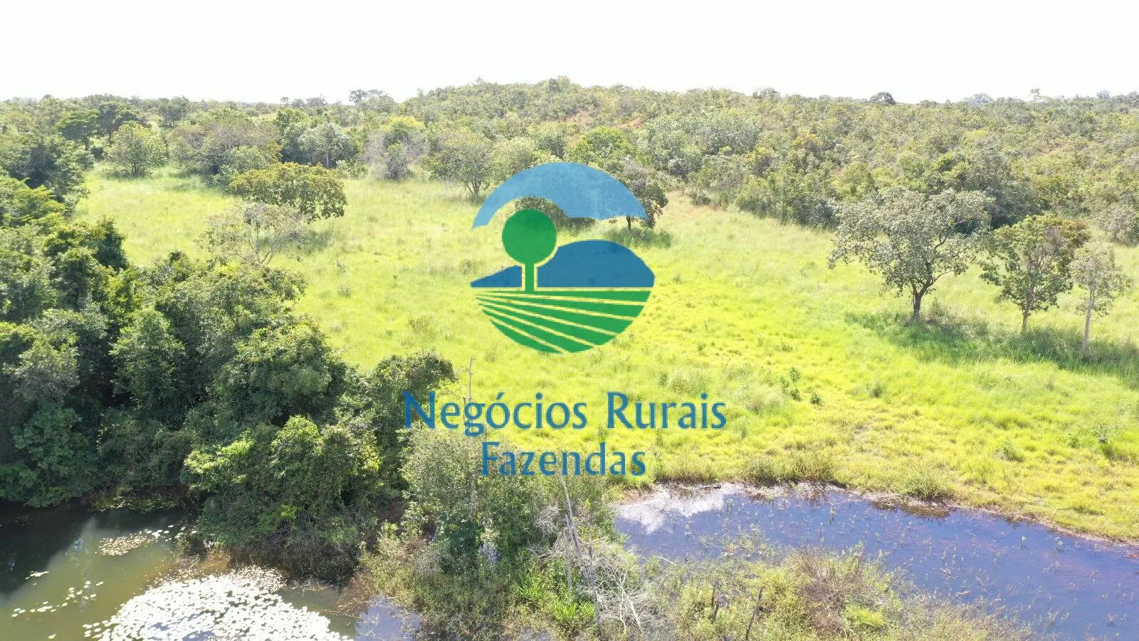 Fazenda à venda de 314 ha em Mara Rosa, GO, Brasil