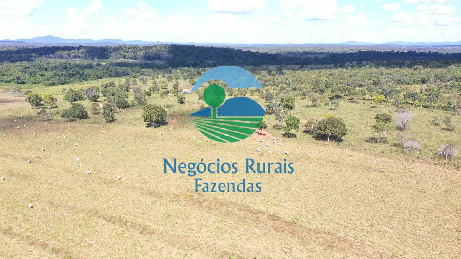 Fazenda à venda de 314 ha em Mara Rosa, GO, Brasil