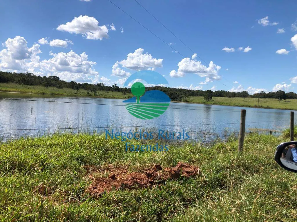 Fazenda à venda de 314 ha em Mara Rosa, GO, Brasil