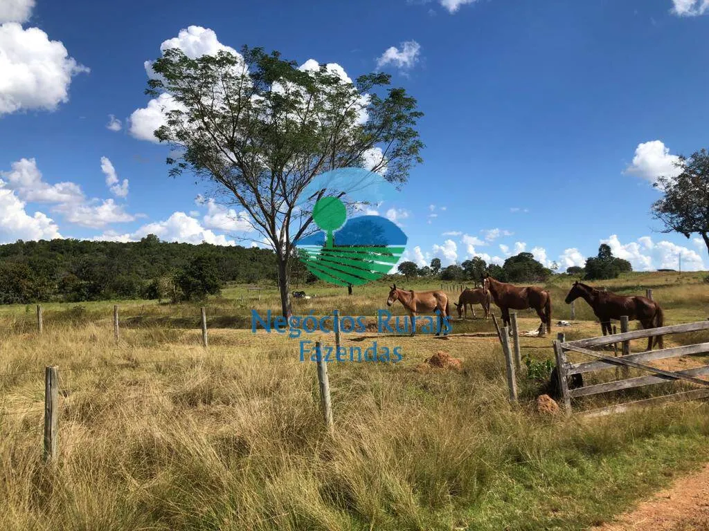 Fazenda à venda de 314 ha em Mara Rosa, GO, Brasil
