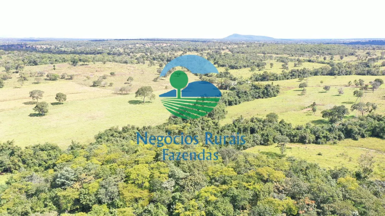 Fazenda à venda de 314 ha em Mara Rosa, GO, Brasil