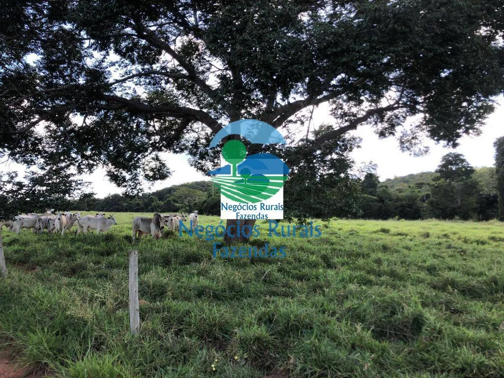 Fazenda à venda de 314 ha em Mara Rosa, GO, Brasil