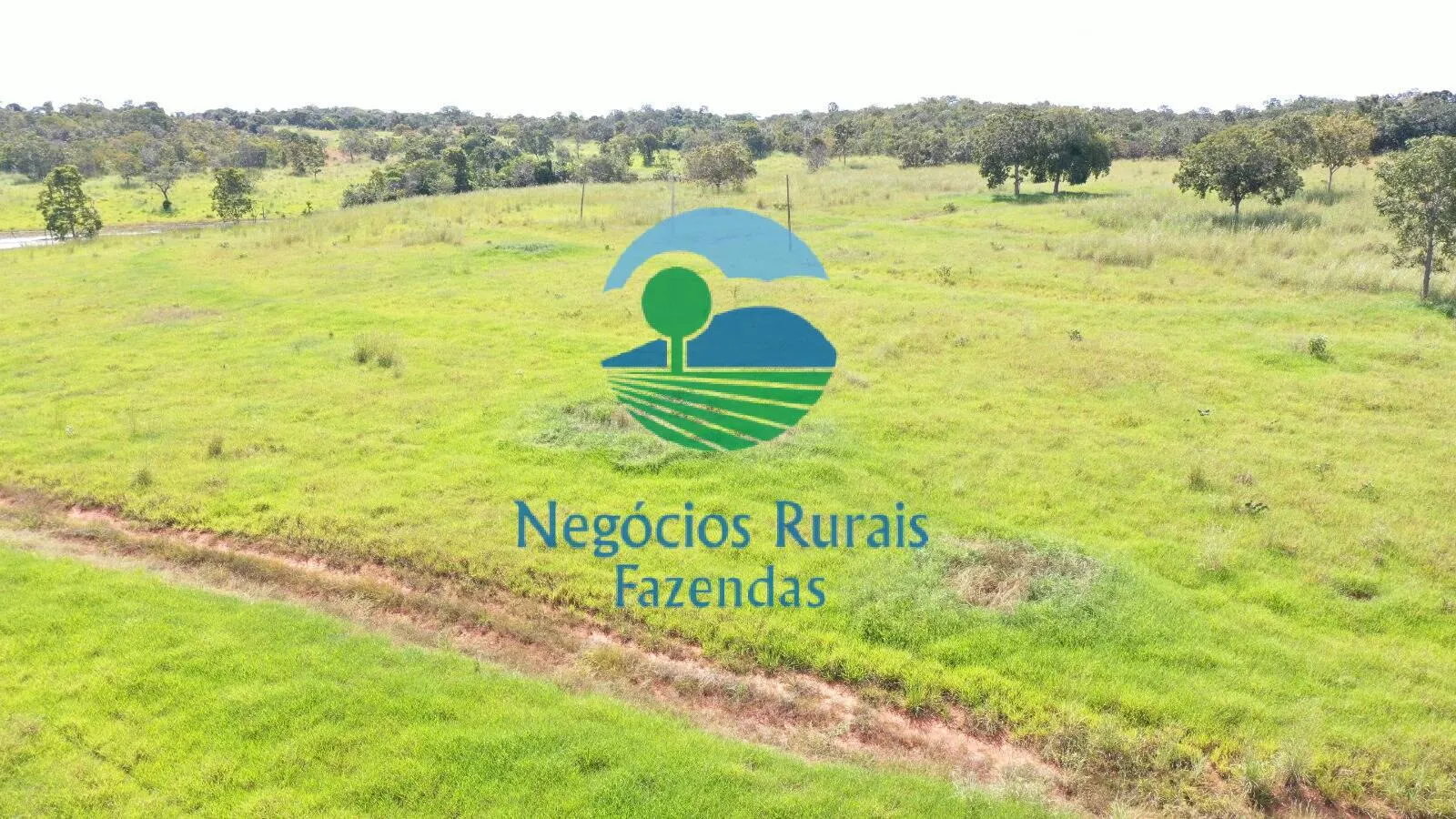Fazenda à venda de 314 ha em Mara Rosa, GO, Brasil