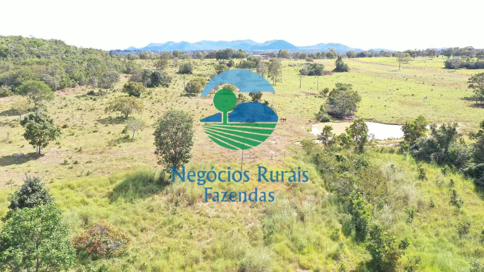 Fazenda à venda de 314 ha em Mara Rosa, GO, Brasil
