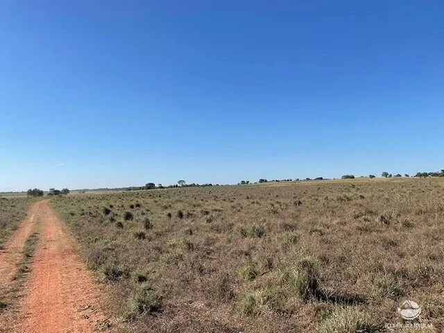 Fazenda à venda e para Arrendar de 1.326 ha em Formoso do Araguaia, TO, Brasil