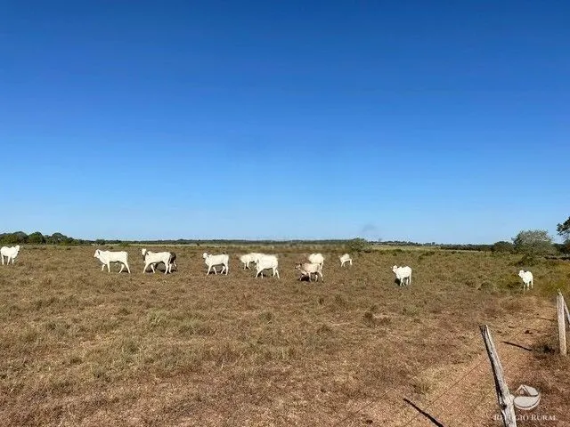 Fazenda à venda e para Arrendar de 1.326 ha em Formoso do Araguaia, TO, Brasil