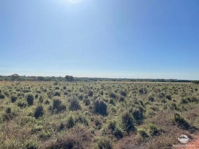 Fazenda à venda e para Arrendar de 1.326 ha em Formoso do Araguaia, TO, Brasil