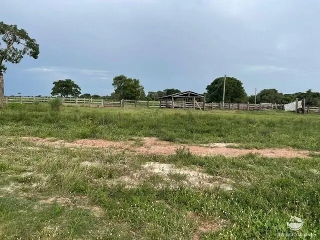 Fazenda à venda e para Arrendar de 1.326 ha em Formoso do Araguaia, TO, Brasil