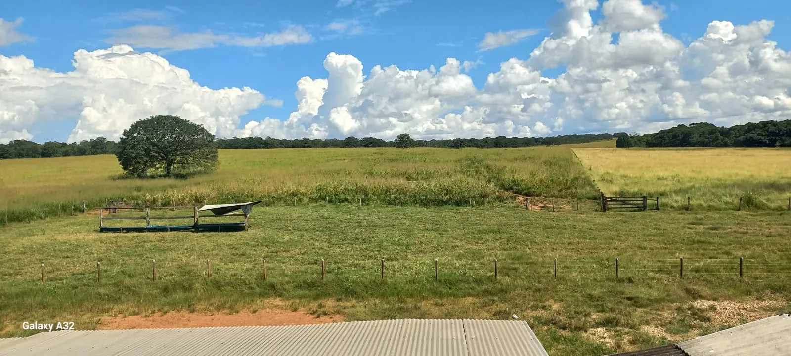 Fazenda à venda de 120 ha em Poxoréu, MT, Brasil